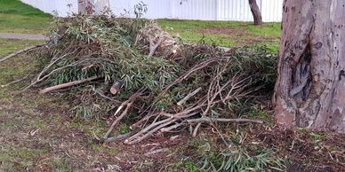 Green waste branches chipping