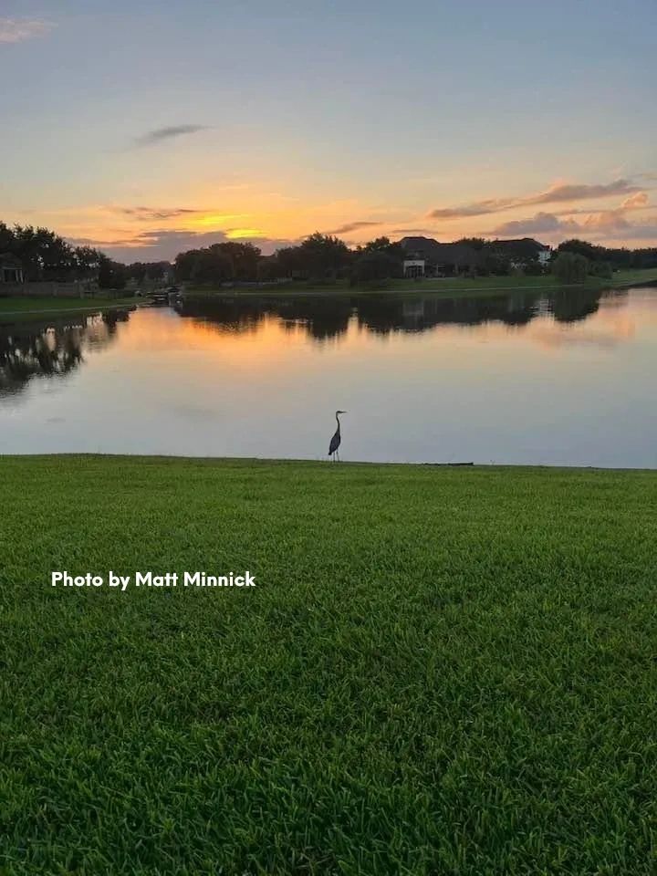 Grayson Lakes Living