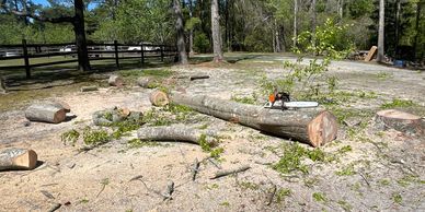 Removal of trees on your property