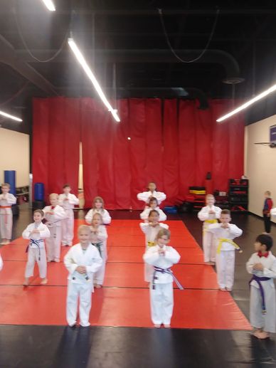 Children in martial arts uniforms standing in formation.