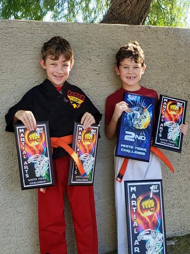 Two boys proudly display their martial arts awards.