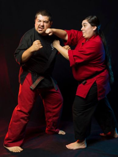 Two martial artists sparring in black and red uniforms.