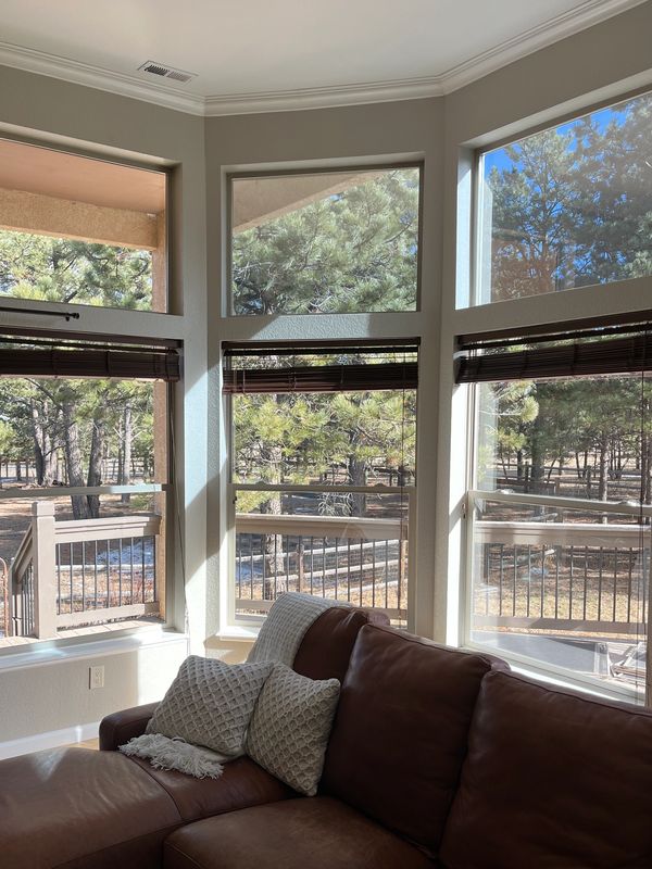 Cozy living room with leather sofa and large windows overlooking a wooded backyard.