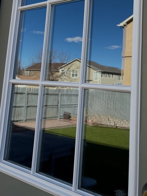Reflection of a sunny backyard with a fence and houses in a window.