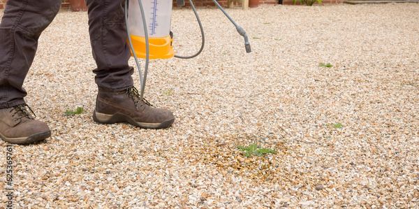 Person spraying weed killer on gravel pathway to remove weeds.