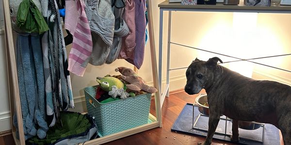 Dog standing near a water bowl beside a rack of clothes and toys, with a table displaying photos.