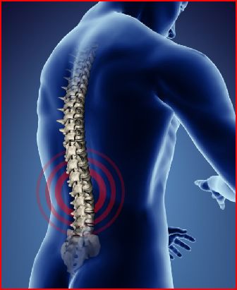 Rantoul Chiropractic Clinic clinic