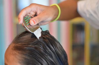 Lice Technician Combing Through The Hair and Scalp