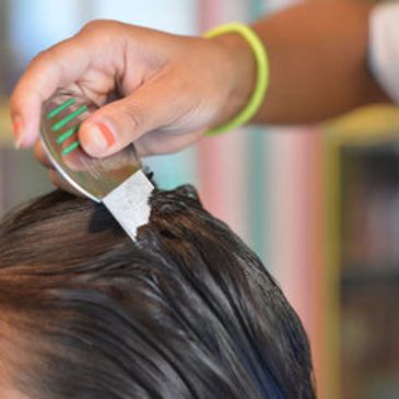 Lice Combing Treatment, Lice Comb Going Through The Hair. 