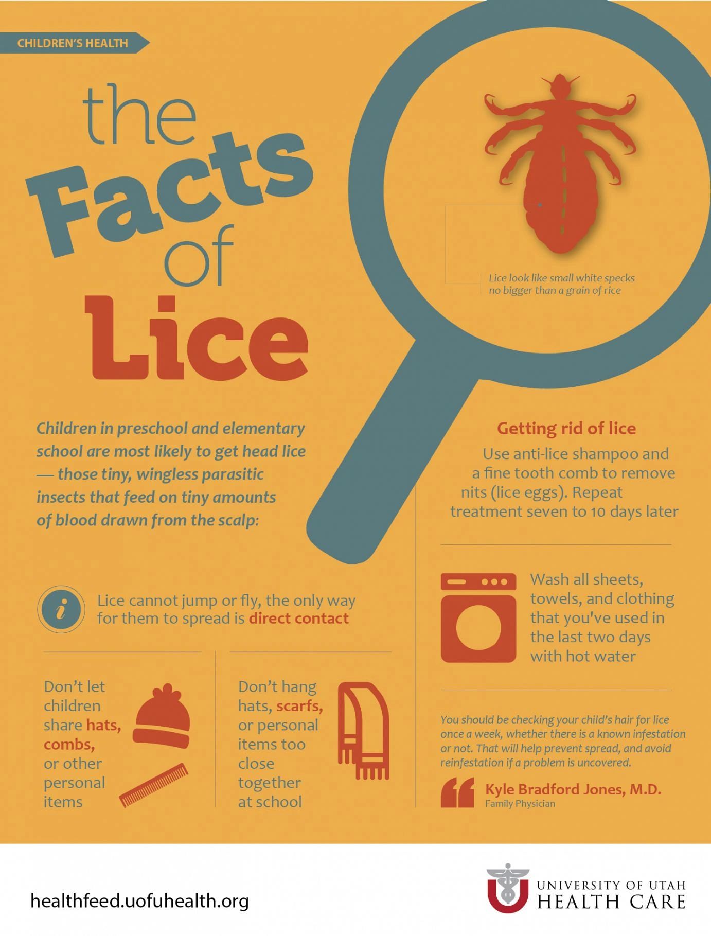 Parents Beware! This Peroxide Lice Hack Saved Us! - si85sd2