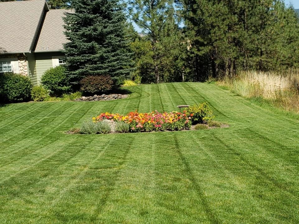 Evergreen Lawn Care