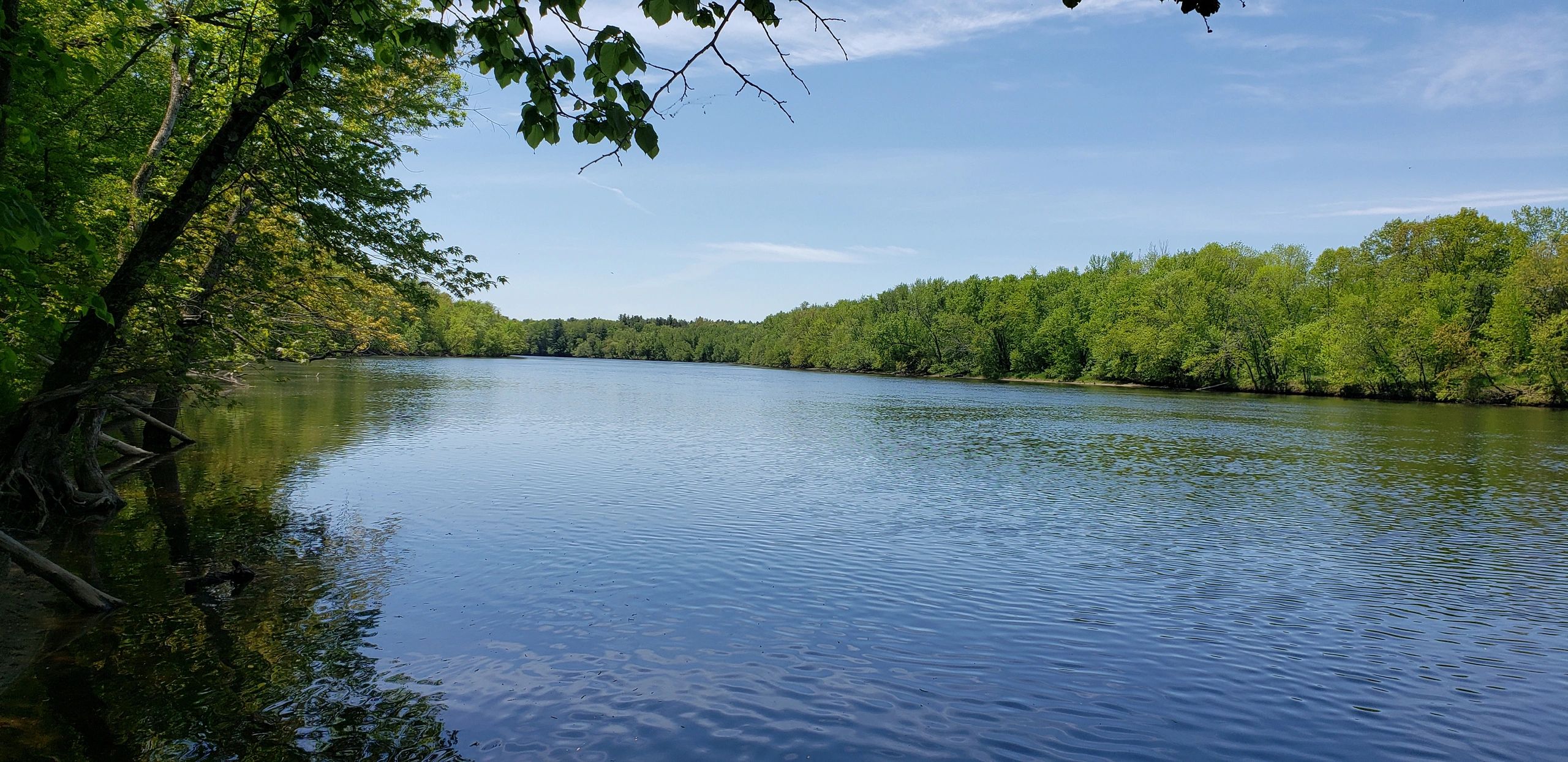 Vineyard river landscape
