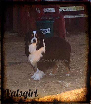 VAL S Page