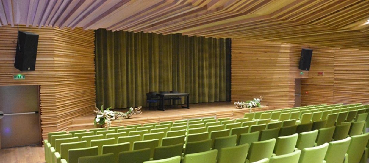 Auditorium/Theatre Audio systems
Yamaha Audio