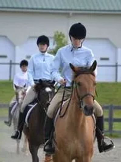 Men on horse riding competition