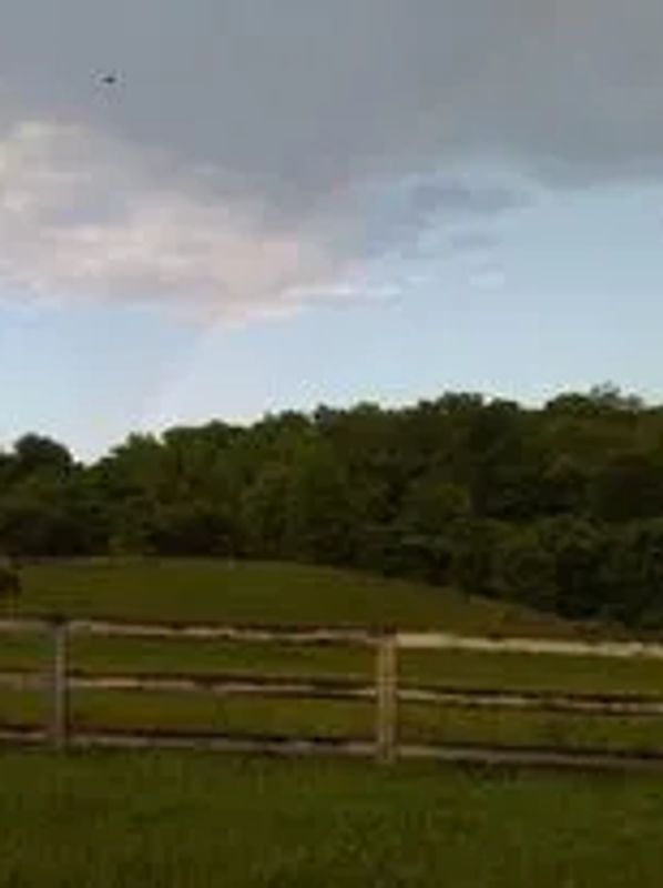 Picture of fence, horse and a house
