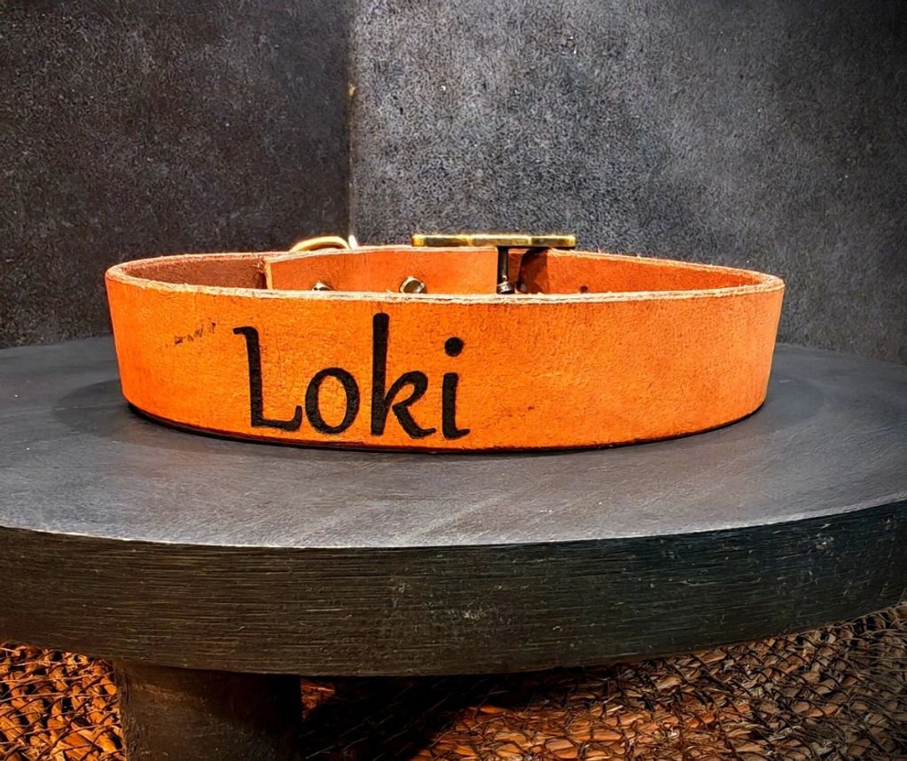 Collier en cuir véritable, fabrication artisanale
aide a domicile chiens