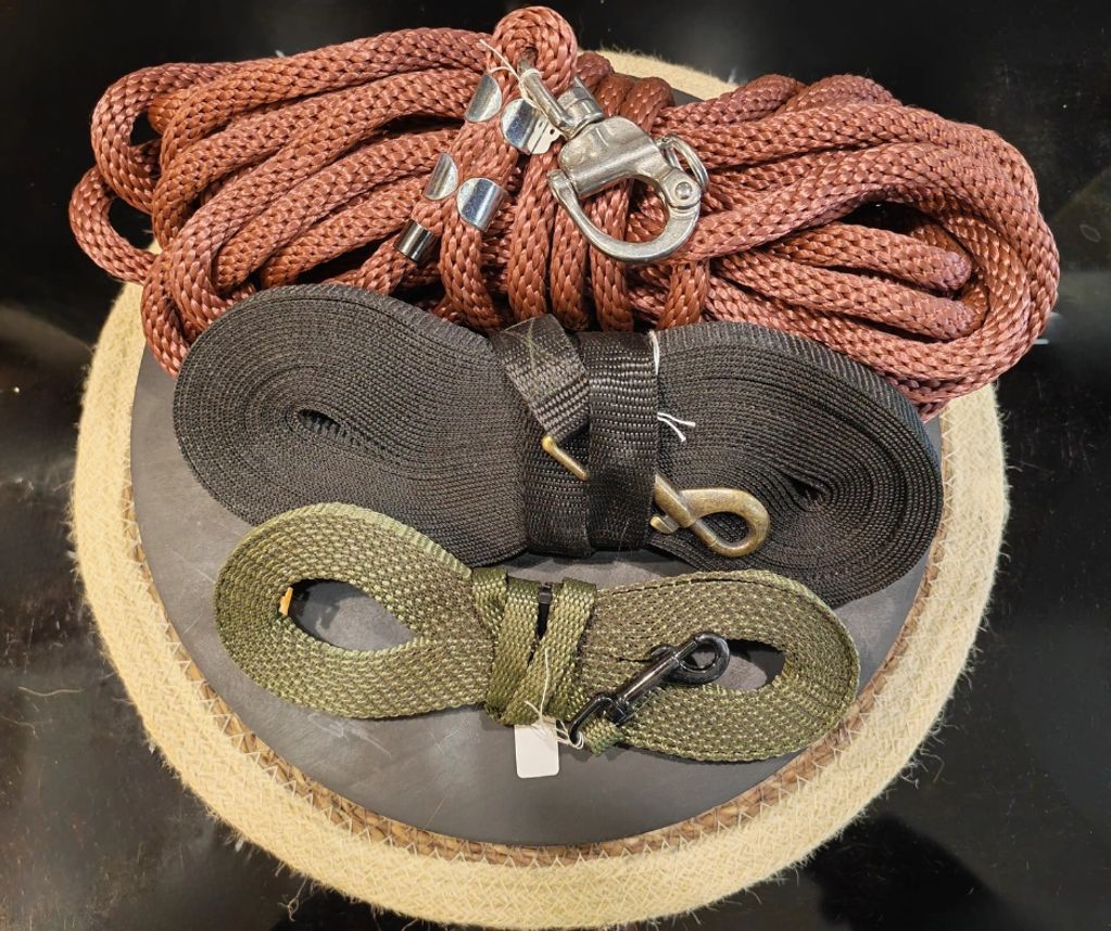 accessoires chiens  professionnelle 
cuir 
longes
