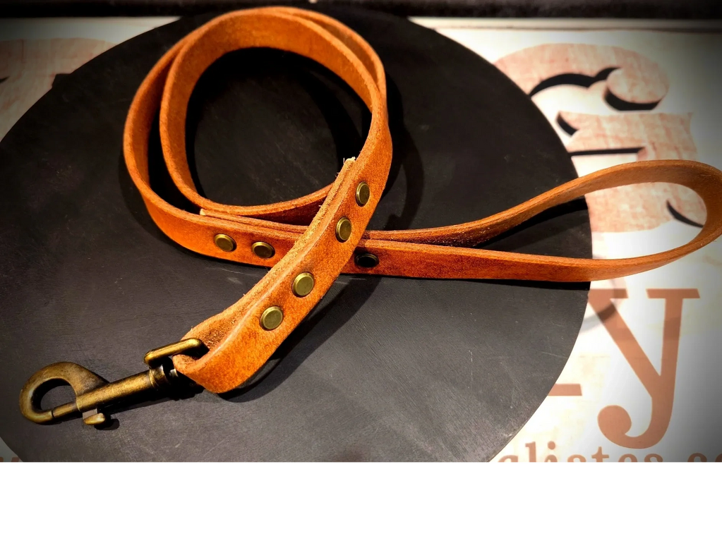 Laisse courte en cuir véritable – fabrication artisanale
dog sitter