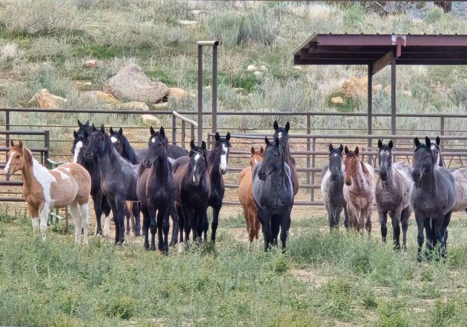 Moonstone Ranch Limestone Ranch