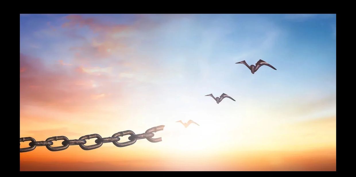 trauma release nervous system regulation 