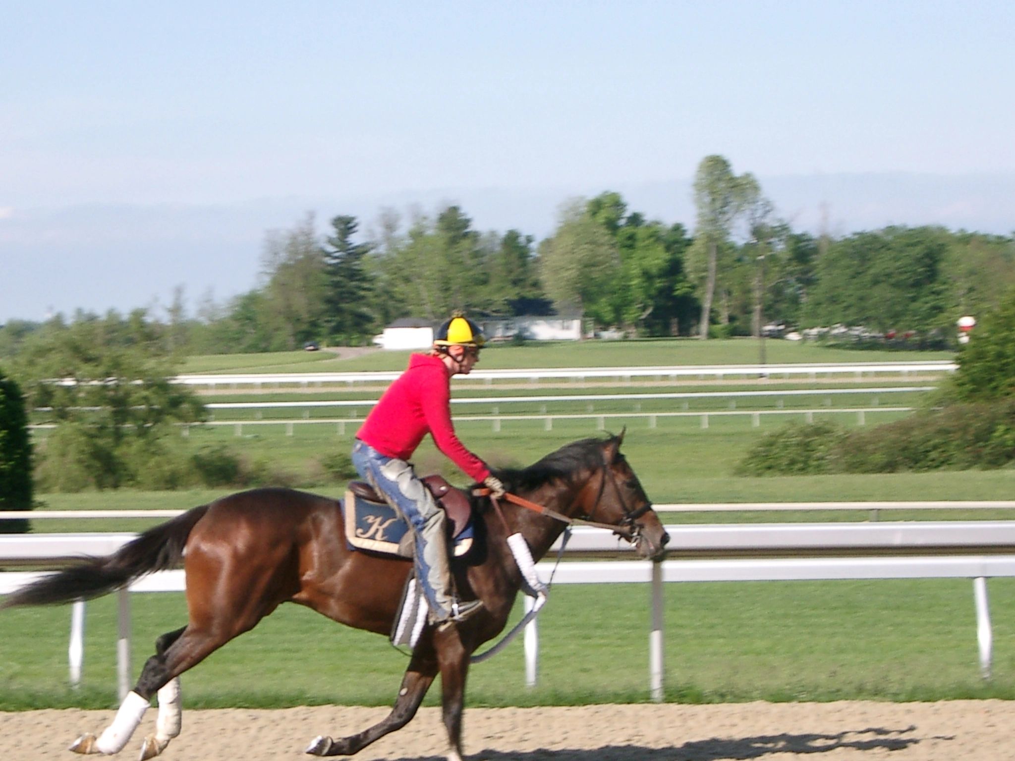 CherokeeScot_Keeneland2.jpg