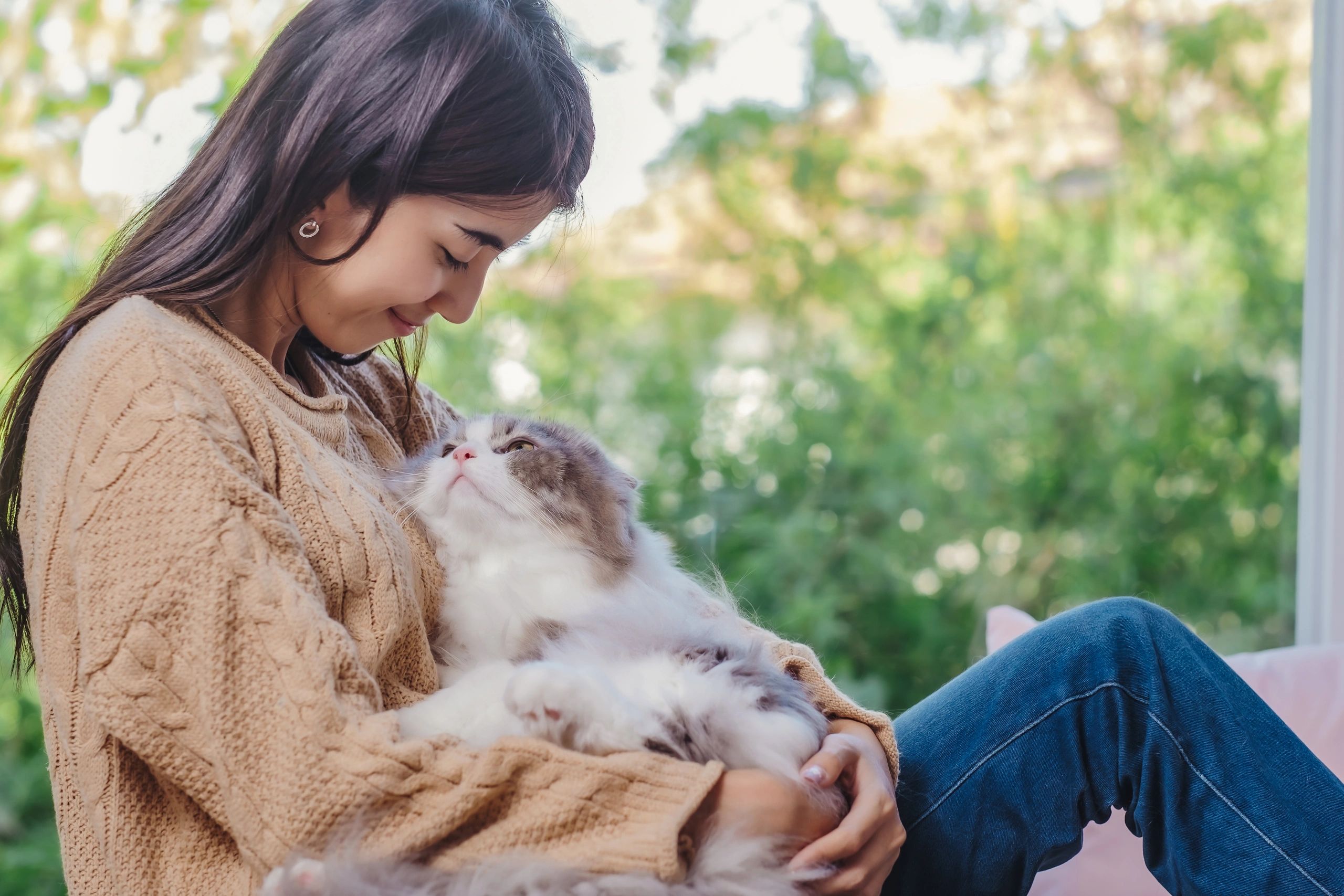 Rehoming Agreement rehoming-agreement