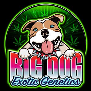 Logo de Big Dog Exotic Cannabis Seeds