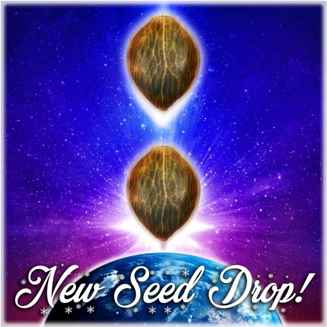 Big Dog Exotic Cannabis Seeds Fast Flower