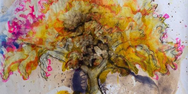Colourful oak tree