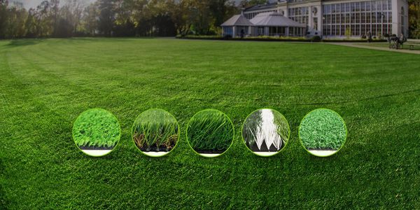 Landscape Turf Sports Turf Soccer Turf 
