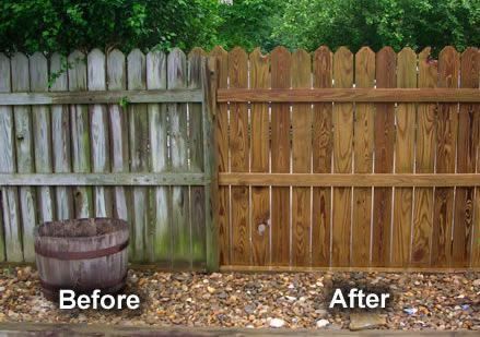 Remove mold and mildew from fence