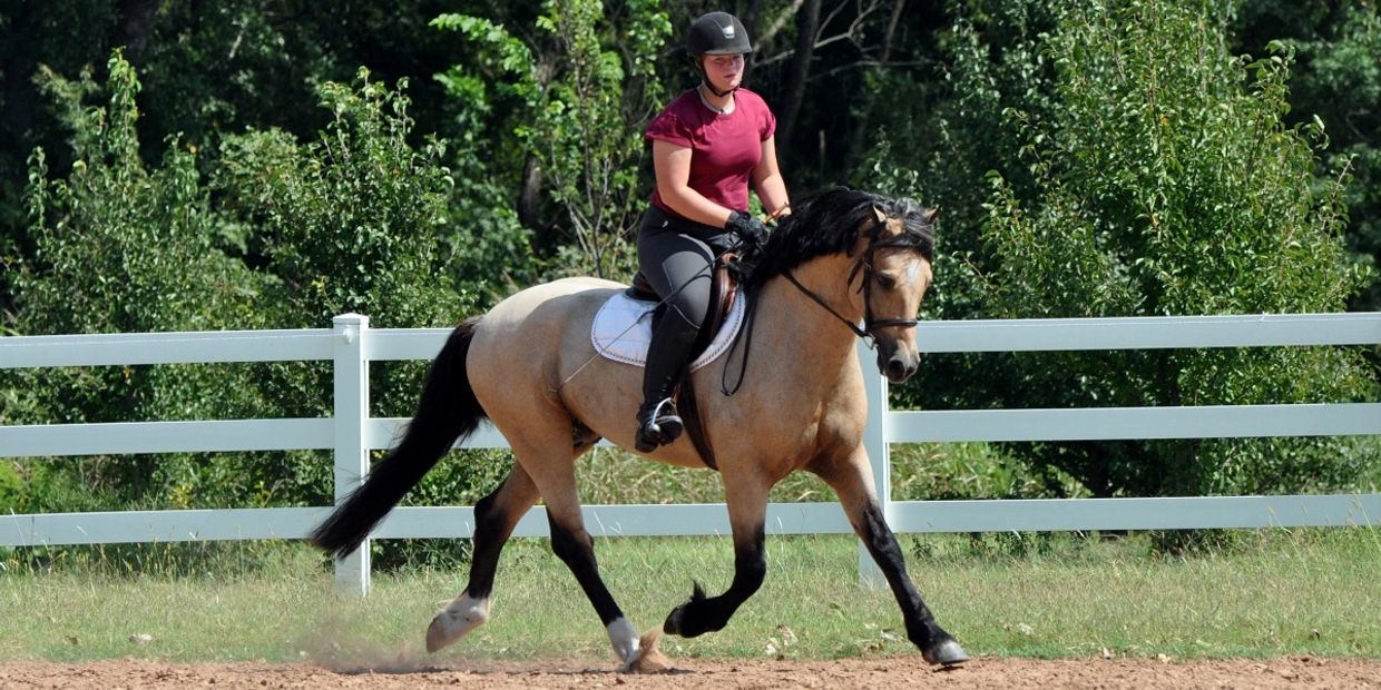 A person riding a horse in an outdoor fenced area.