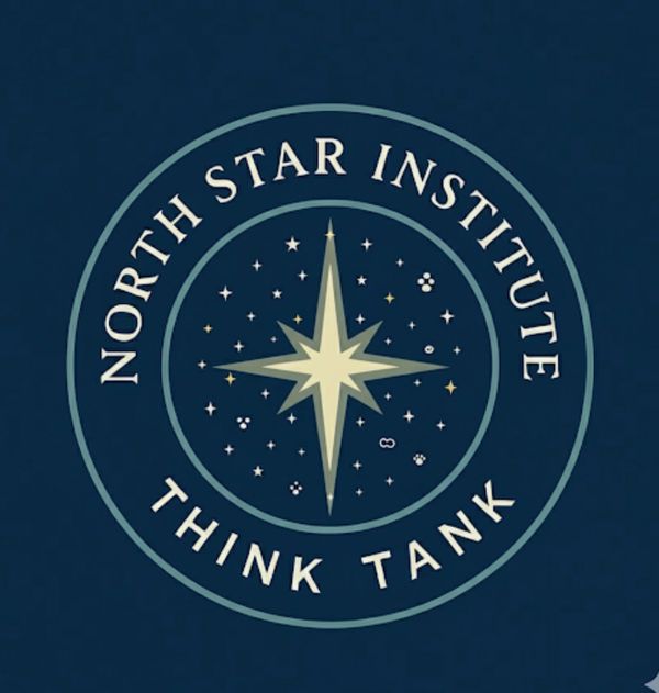 Logo of North Star Institute Think Tank with a star and cosmic symbols.