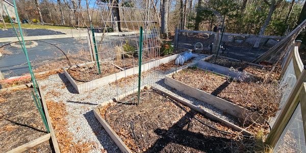 Wood raised beds.