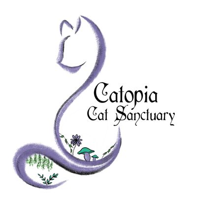 Sponsoring Rescue Cats at Catopia Cat Sanctuary 