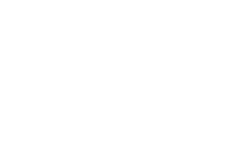 Global Platinum Properties