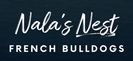 Nala's Nest Frenchies