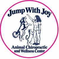 Jump With Joy Chiropractic 