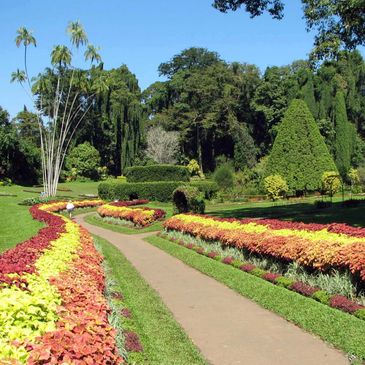 5 min drive to Royal Botanic Gardens, Peradeniya which near the Mahaweli River. 
In 2016, the garden