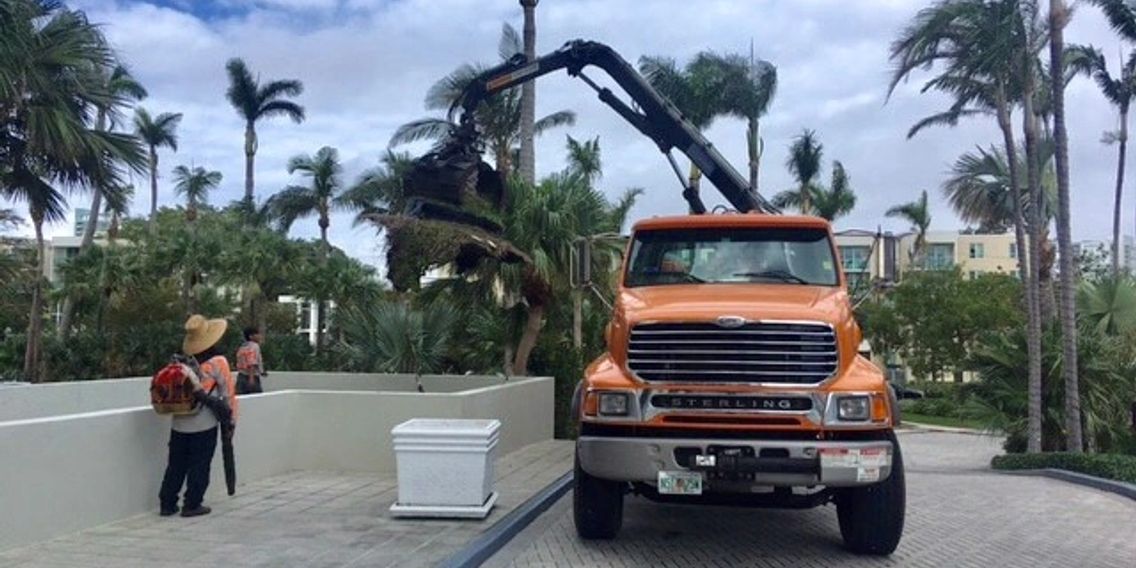 tree trimming miami landscaping tree removal trimming grassmasters tree trimming miami landscaping tree removal trimming grassmasters