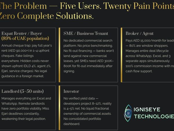 Summary of pain points faced by five real estate users in UAE with no complete solutions.