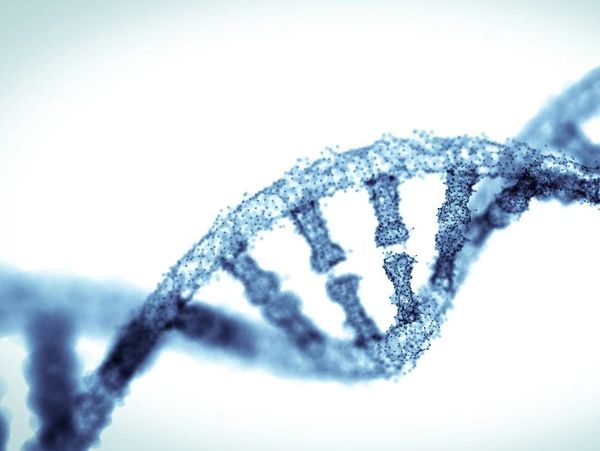 Close-up of a DNA double helix structure with a missing piece.