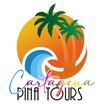 cartagenapinatours.com