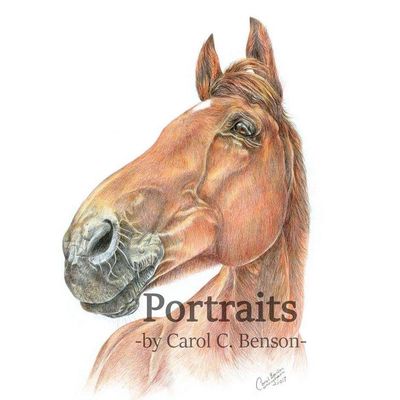 pet portraits 
equine portraits