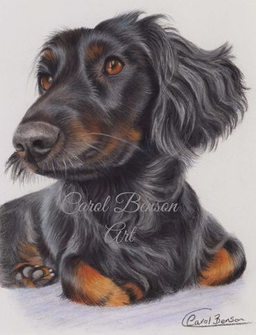 Pastel on light grey pastelmat
6 x 8 inch