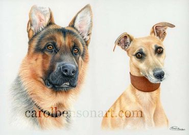 Zeus and Sasha.
Luminance, Pabloe, Polychromos and Pan pastel., 