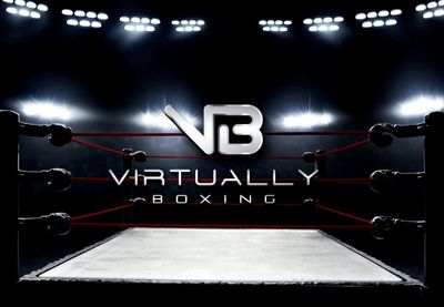 Virtually Boxing logo