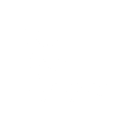New world academy LLC & new world academy Foundation