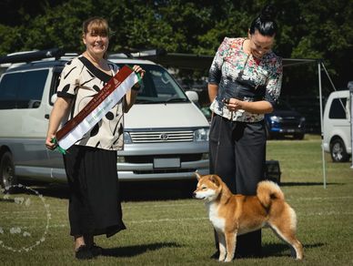 Two women with a Shiba Inu dog at a dog show outdoors.
